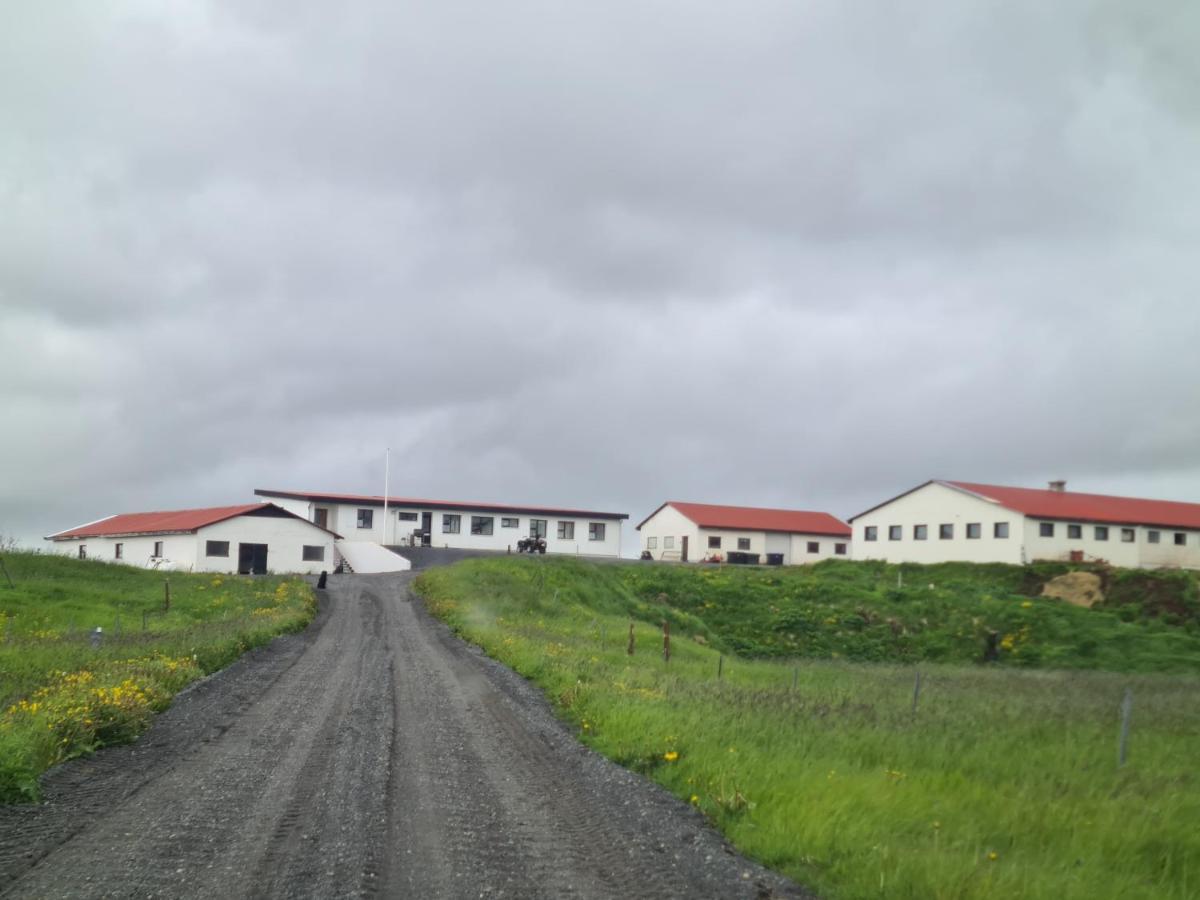 Apartment - Fíflholt Hvolsvöllur Kültér fotó